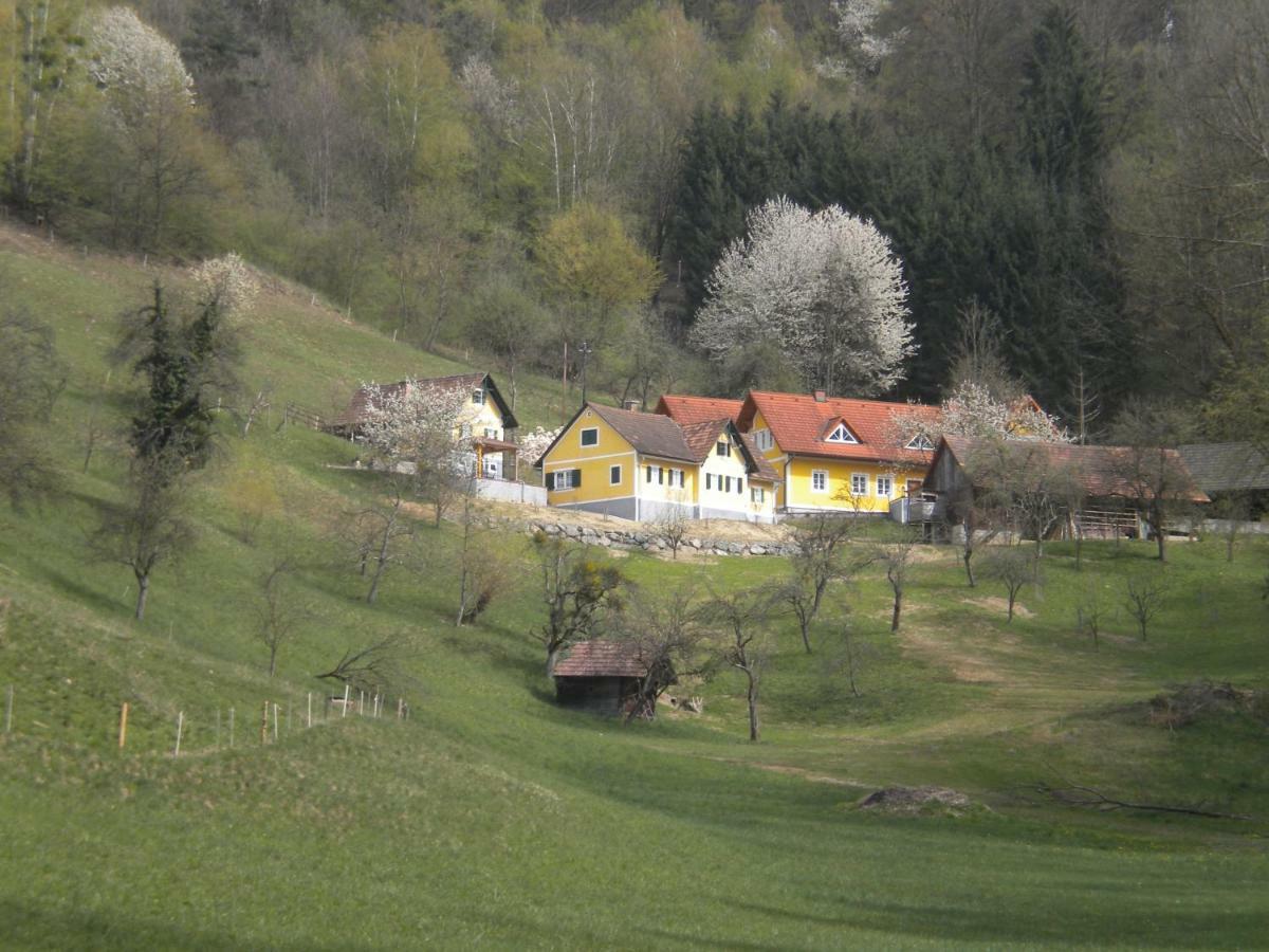 Buchschneider - Ferienhaus Maier - Landhof Schwarzautal Ngoại thất bức ảnh