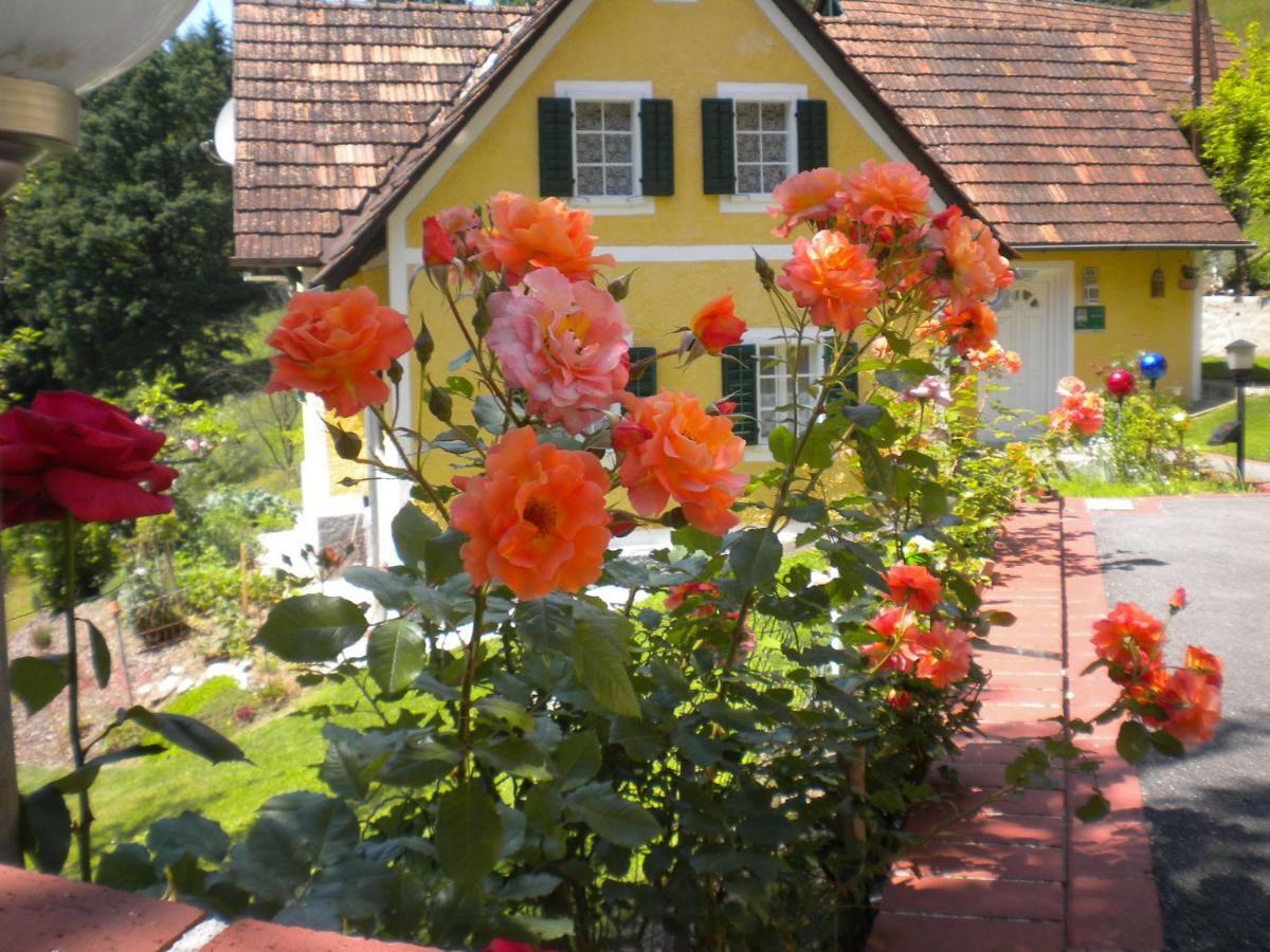Buchschneider - Ferienhaus Maier - Landhof Schwarzautal Ngoại thất bức ảnh